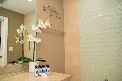 Apartamento Allure Suites At The Stand On Ocean