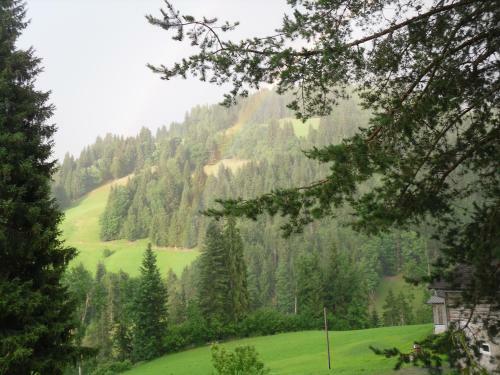 Bed & Breakfast Vorderwiesgut