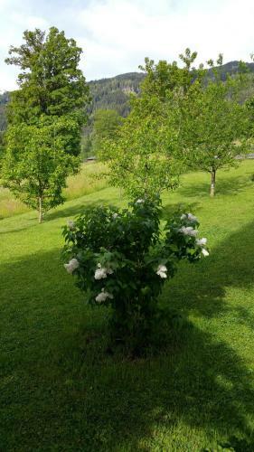 Hostal Pension Platzer