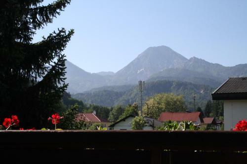 Hostal Pension-ferienwohnung Rotar