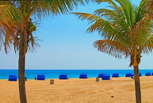 Apartamento New Listing! Updated Beach Condo With Sparkling Pool Condo