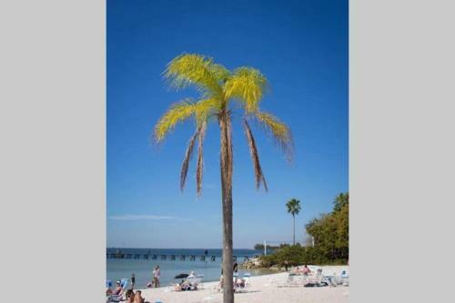 Apartamento Sea Breeze, Studio 510, Beach Steps Away!+pool+wifi