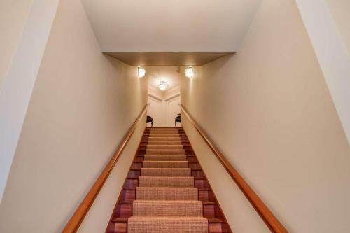 St. George Street Apartment