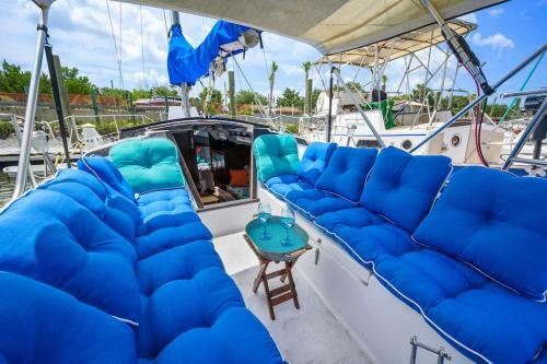 Blue Oasis In Downtown St Augustine