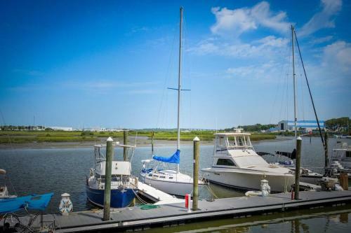 Blue Oasis In Downtown St Augustine