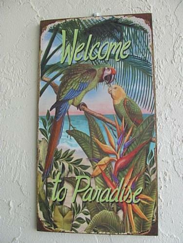 Apartamento Sand Dollar 2-405