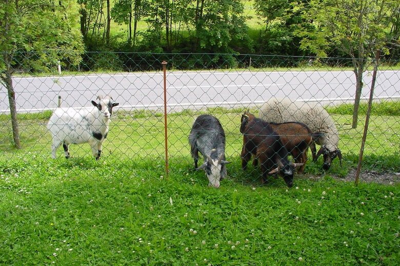 Agroturismo Schattaugut
