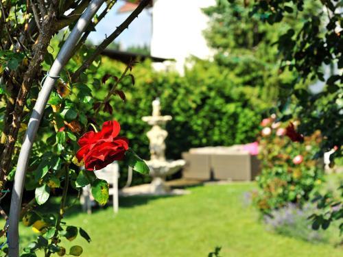 Hostal Pension Piovesan