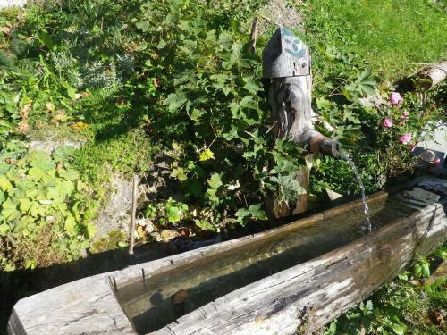 Apartamentos M�slehenhof