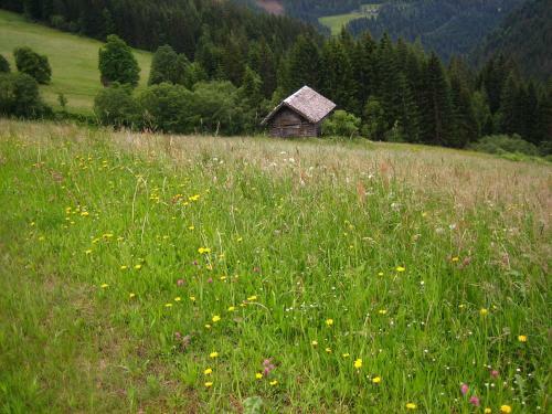 Apartamentos M�slehenhof
