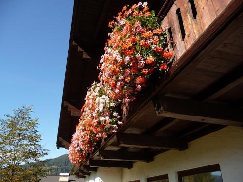 Apartamento Ferienwohnung Hans Ebner