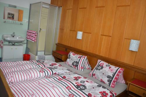 Hostal Haus Dachstein Schnitzer