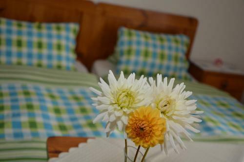 Hostal Haus Dachstein Schnitzer