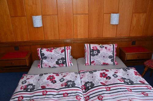 Hostal Haus Dachstein Schnitzer