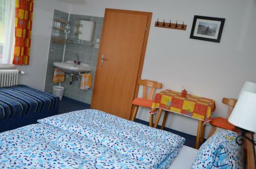 Hostal Haus Dachstein Schnitzer