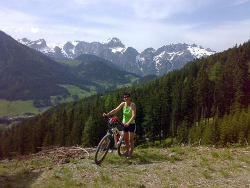 Hostal Haus Dachstein Schnitzer