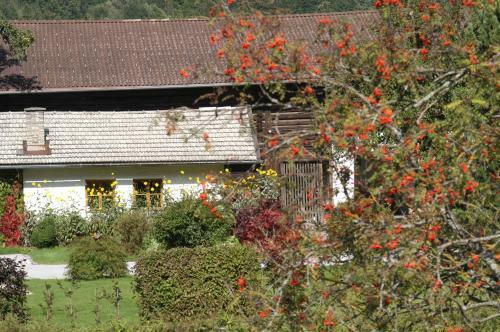 Hostal Haus Dachstein Schnitzer