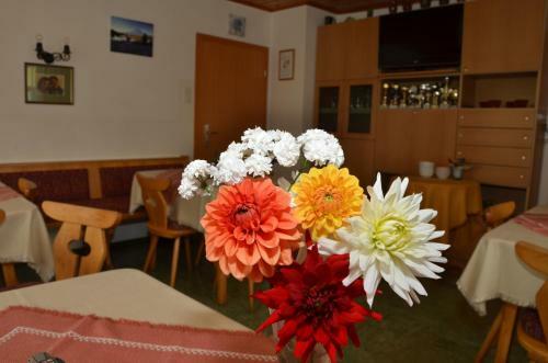 Hostal Haus Dachstein Schnitzer