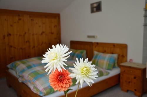 Hostal Haus Dachstein Schnitzer