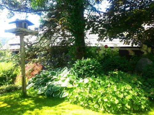 Hostal Haus Traninger