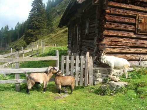 Landhotel H�userl Im Wald