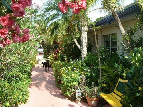 Apartamento Affordable Beach Condos - One Bed Budget With Full Kitchen Condo