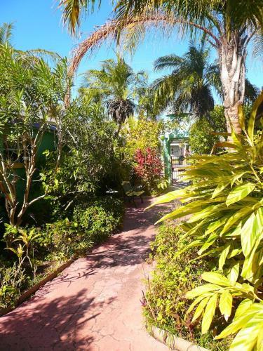 Apartamento Affordable Beach Condos - One Bed Budget With Full Kitchen Condo