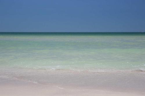 Gulf Spray - C