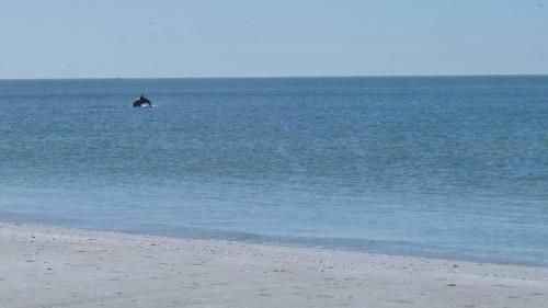 Brightwater Beach - Amazing Updates, Just A Block From The Beach