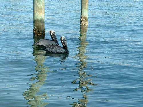 Apartamento Charming Bayfront Condo With Full Kitchen - Hawaii Suite Condo