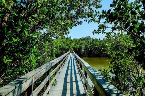 Enjoy Sunsets At Sanibel's Hidden Gem Resort Condo - Blind Pass E201