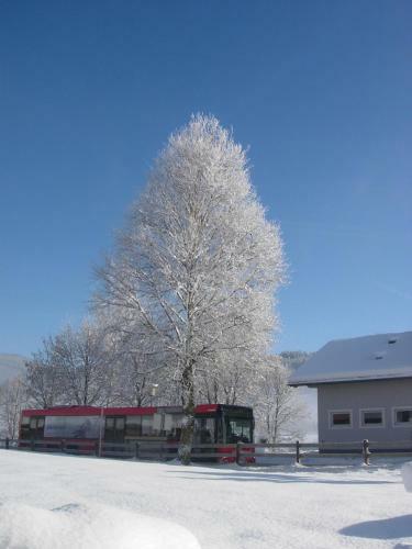 Hostal Feriengut Fingerhof