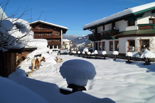 Hotel Sieglhub