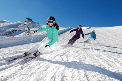 Aparthotel Alpine Active Weitgasser