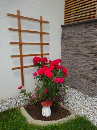 Apartamento Haus Lienbacher
