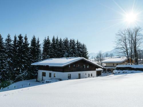 Apartamento Maier M