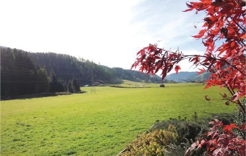 Apartment Flachau Liftstrasse II
