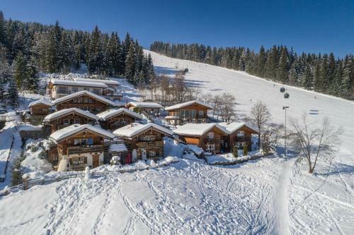 Almdorf Flachau