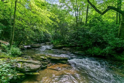 Elegant Forest Escape With Hot Tub, Views And More