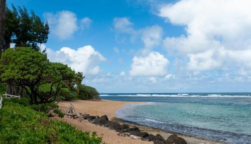 Apartamento Hanalei Colony Resort F3 Condo