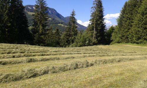 Agroturismo Hofbauer