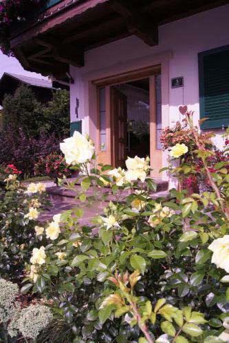 Hostal Pension Schipflinger Itter