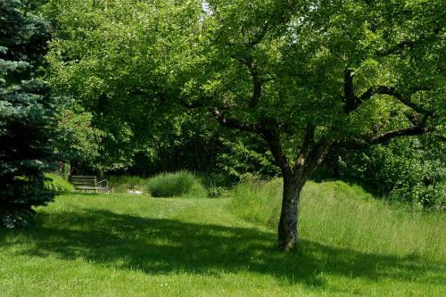 Bio-naturhotel Faakersee