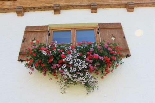 Apartamento Urblhof