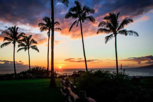 Apartamento Kapalua Bay Villa 15g5 Ocean View