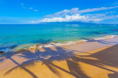 Kaleialoha 401