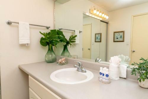 Apartamento Eldorado K109