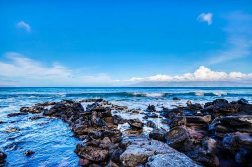 Mahina Surf III