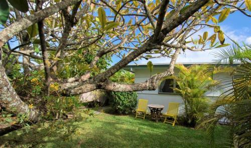 Apartamento Aloha All The Way To The Beach