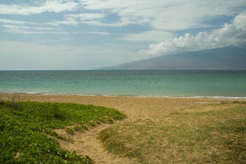Koa Lagoon #206